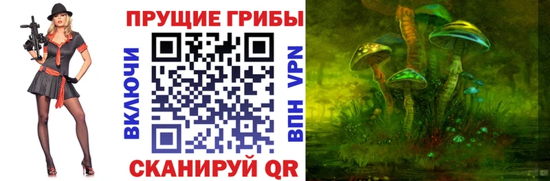 Псилоцибиновые грибы прущие грибы  что такое наркотик  Владимир 