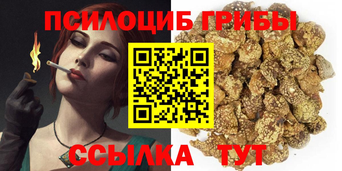 Псилоцибиновые грибы GOLDEN TEACHER  Вход с VPN  Галлюциногенные грибы мухоморы  Владимир 