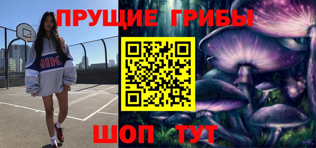 Псилоцибиновые грибы Psilocybine cubensis Владимир